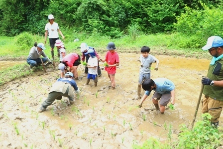 横沢入　田植え