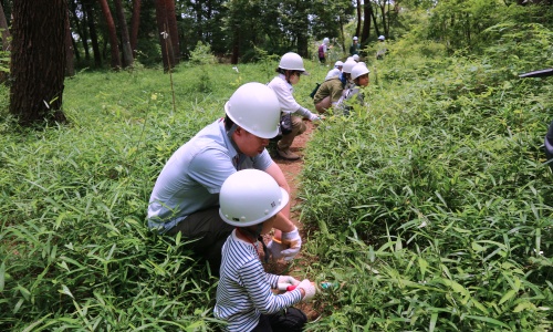 保全活動　草刈り