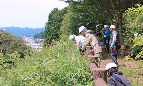 保全活動　草刈り