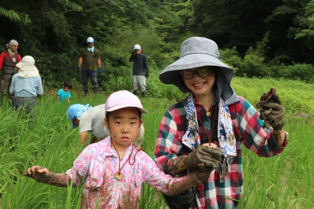 田んぼの草取り