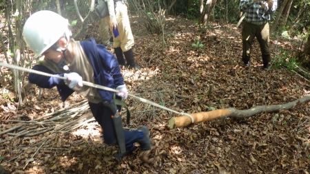 除伐作業