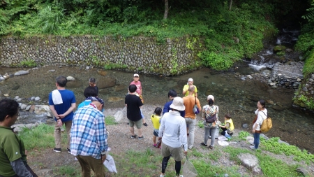 川の生き物観察