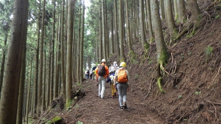 山登り