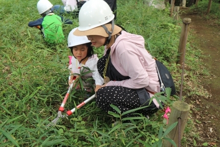 草刈り