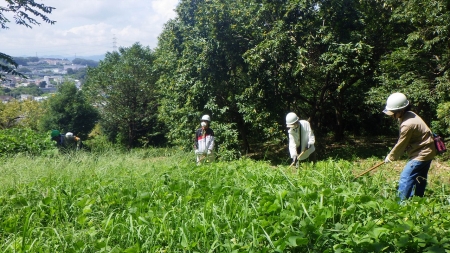 草刈り