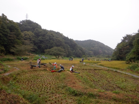 稲刈り後の田んぼ