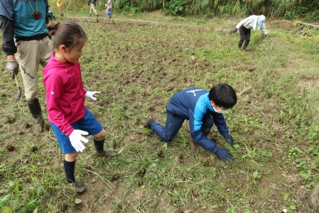 田んぼで虫を探すこどもたち