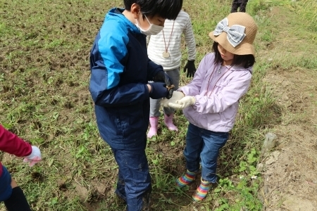 虫を捕まえたこどもたち