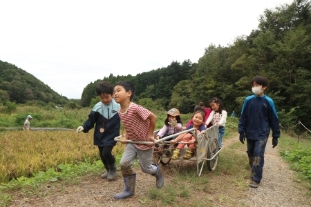 リアカーで遊ぶこどもたち