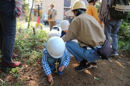 どんぐり拾い