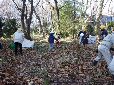 落ち葉かきの作業前