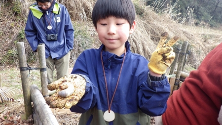 カブトムシの幼虫