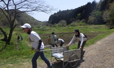 リヤカーで運搬