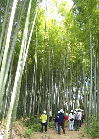 多摩東寺方緑地保全地域で