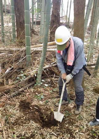 タケノコ掘り