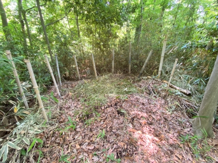 ササ狩り後の一風景