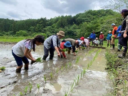 親子で苗を植えていく様子