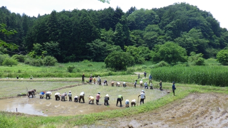 天候に恵まれて田植え活動
