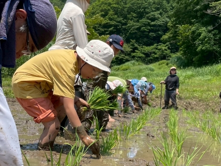 真剣なまなざしで田植え