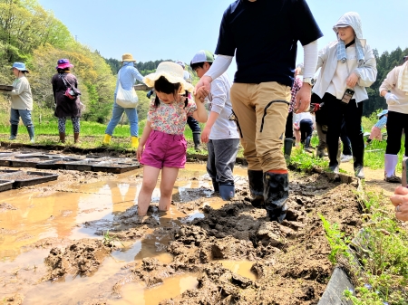 田んぼの中を歩く