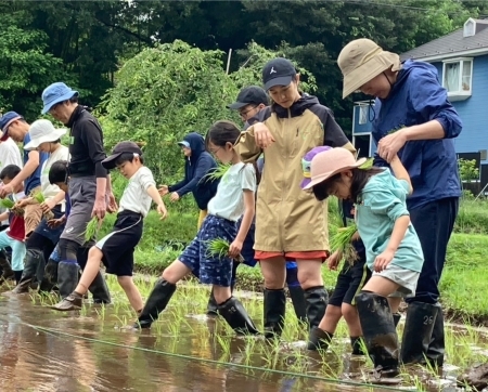 田んぼの中で歩く姿