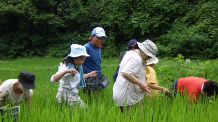 雑草取りに慣れてきた様子
