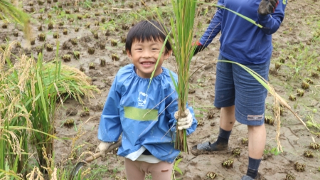 稲を手ににっこりポーズの男の子