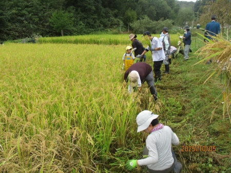 もくもくと作業を進めていく様子