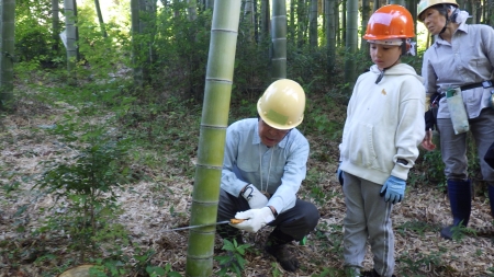 竹引きノコギリの使い方のレクチャー
