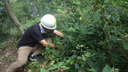 下草刈りスタート