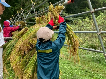 高い位置へはざかけに挑戦する少年