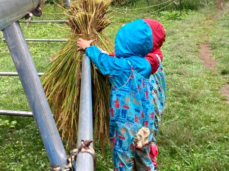 協力してはざかけをするこどもたち