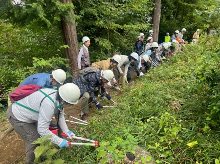 横一列になって下草刈りスタート