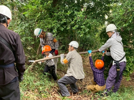 切った木を協力して運ぶ
