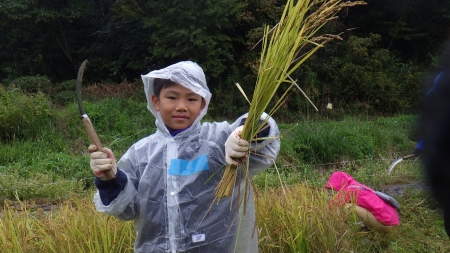 稲刈りできたポーズ
