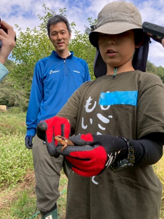 田んぼでみつけたカエル