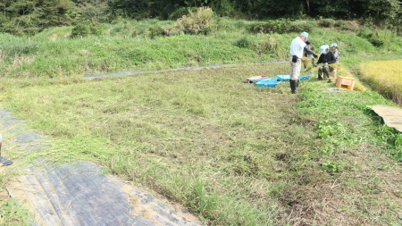 刈り終えた１面の田んぼ