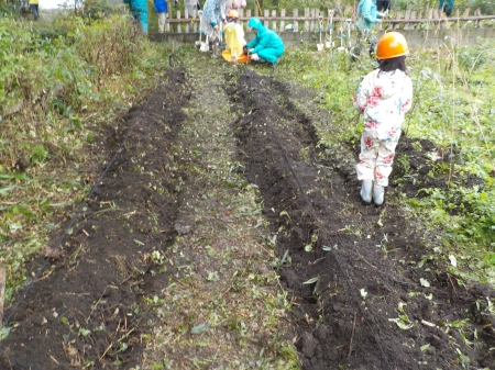出来上がった畝
