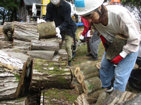 一か所に集積された丸太