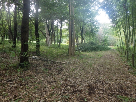 八王子滝里山保全地域