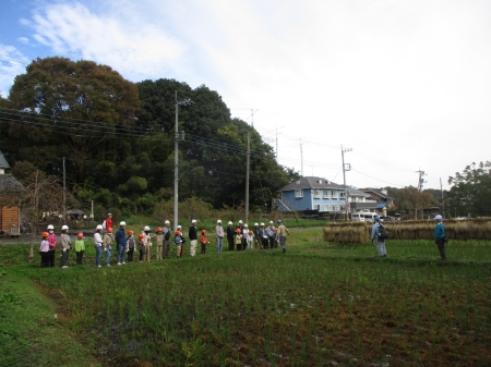 管理された里山