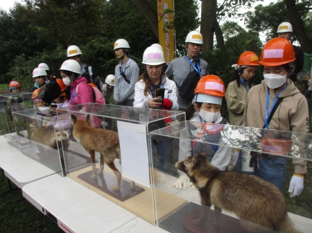 動物の剥製に釘付けの参加者