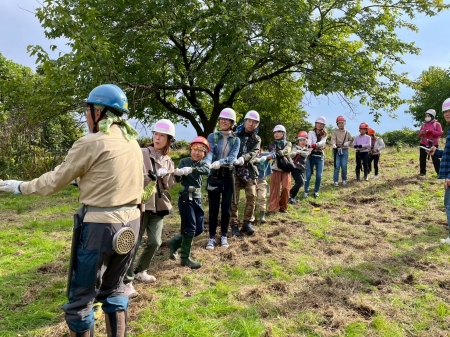 みんなで力を合わせて木を引っ張る