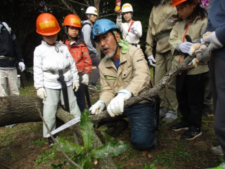 木ノコギリの使い方のレクチャー