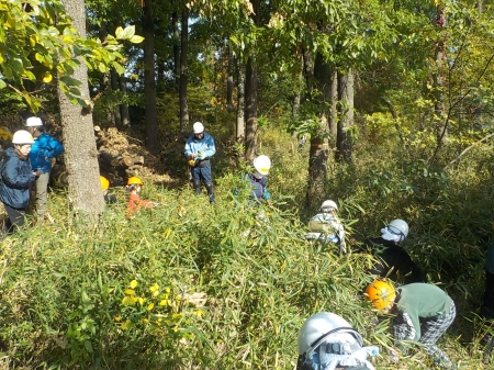 下草刈りスタート