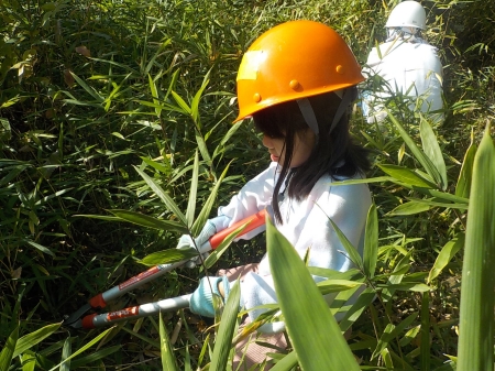 刈り込みバサミで下草刈りをする子ども