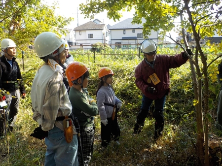 講師の方が木を選ぶ様子