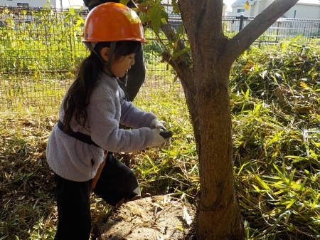 木ノコギリで木を切っていく子ども