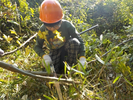 木の枝を短く切る少年
