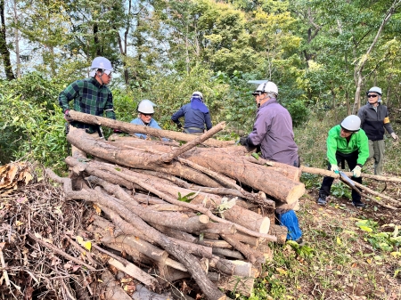 山積みになった木々